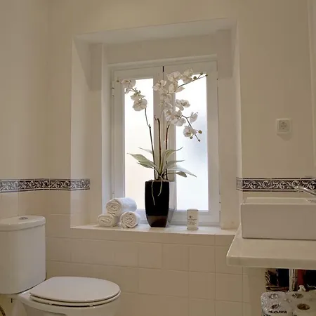 Sunny Sao Paulo Apartament